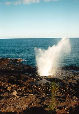 Ocean Blow Hole